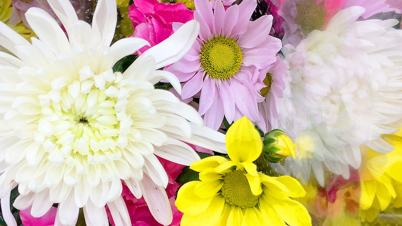 お葬式の際の供花、どのような花が適切か。